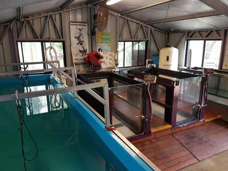 Moulding a Fibreglass Dog Wash Tank Custom Fibreglassing